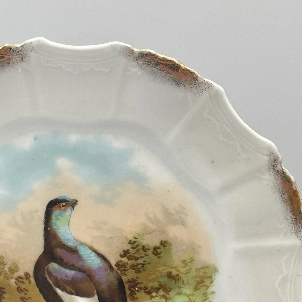 Antique 1920s Silesia‎ Germany Game Bird Scenic Porcelain Cabinet Plate 8